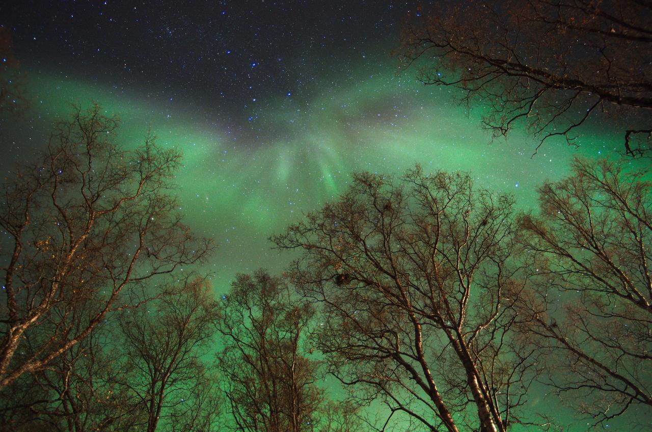 Solhov, Castle Of The Lyngen Alps Hotel Lyngseidet ภายนอก รูปภาพ
